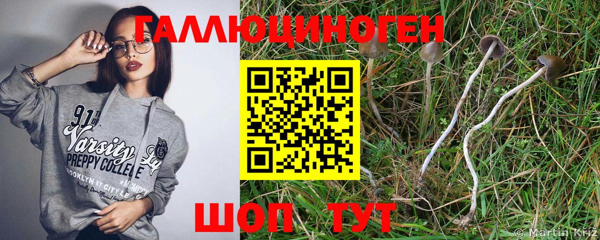 Галлюциногенные грибы Magic Shrooms  Вход с VPN  Отрадное 